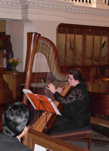 Rohan Platts harp soloist
